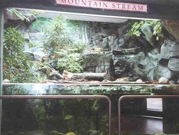 Mountain Stream Exhibit